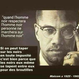 Meet your Posher, Merlin